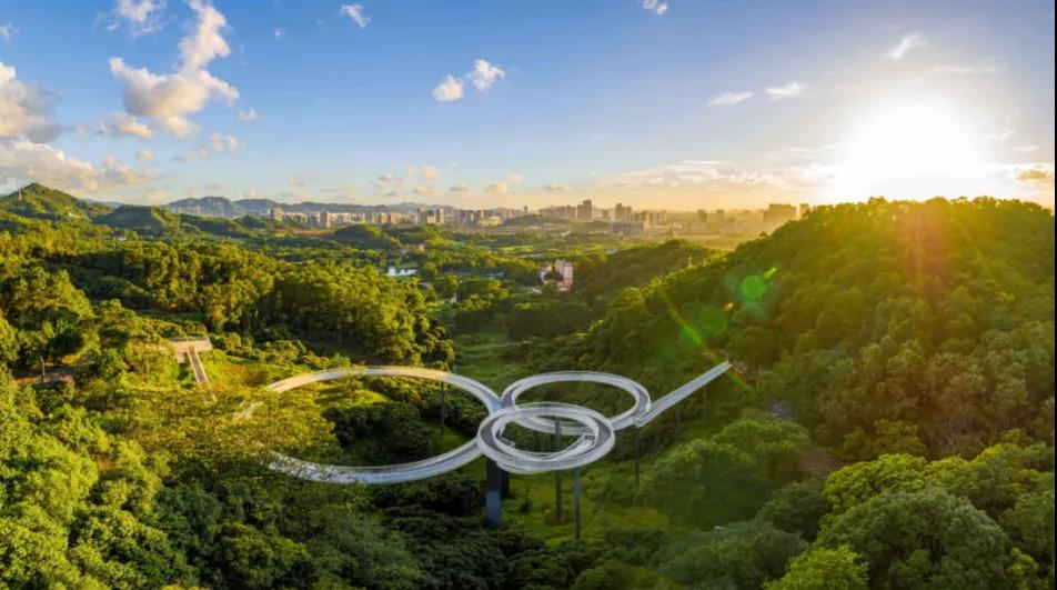 深圳光明区春游踏青好去处