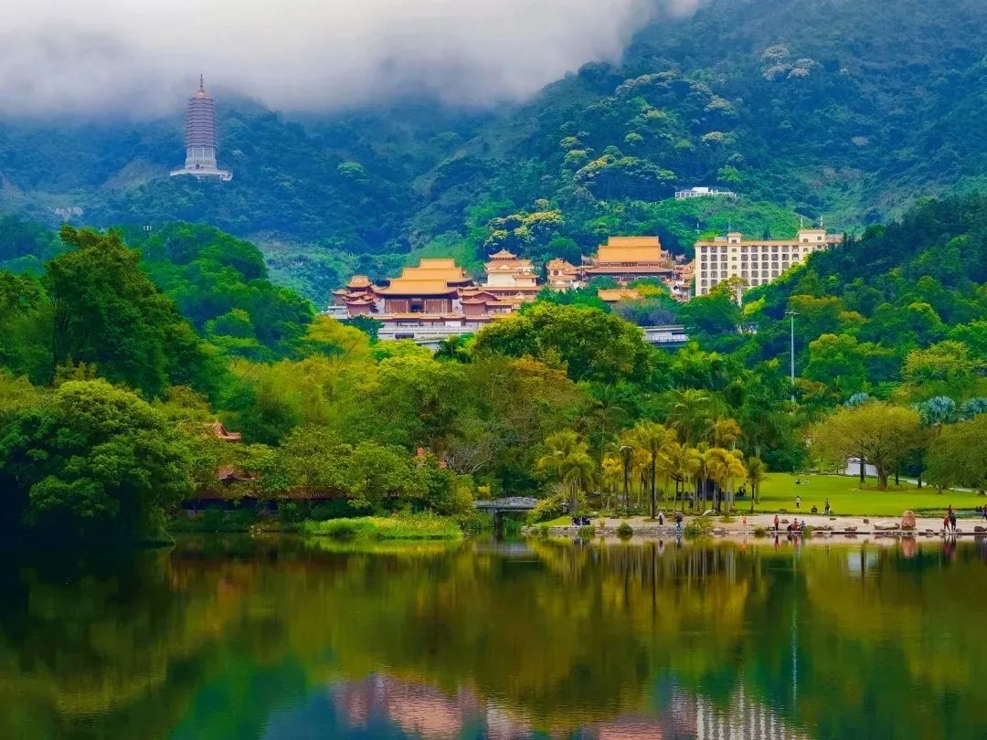 2023年春节深圳仙湖植物园、弘法寺需要预约吗（预约方式、时间）