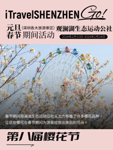 深圳第八届樱花展2024（时间、地点、出行攻略）